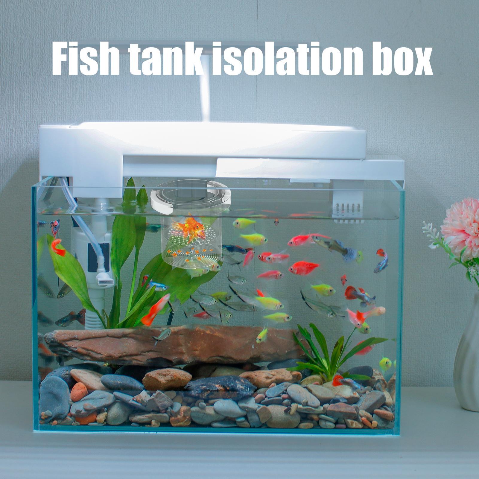 Aquarium Fish Betta - Fish Breeder Box Floating Aquarium Breeding