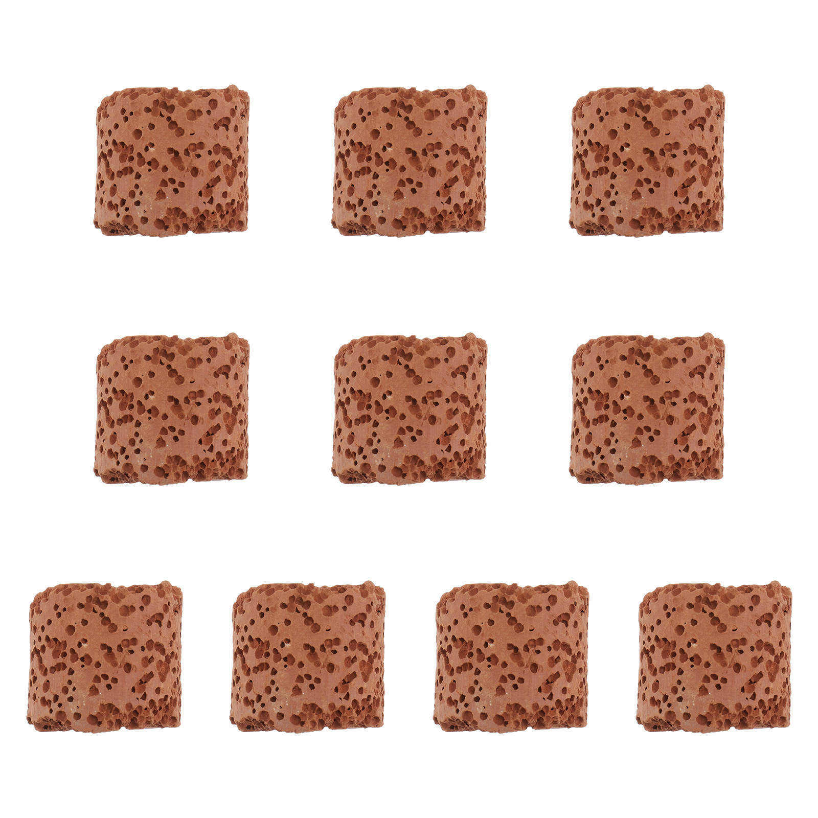Aquarium Fish Tank - 10Pcs Fixed Ring for Aquarium Plants
