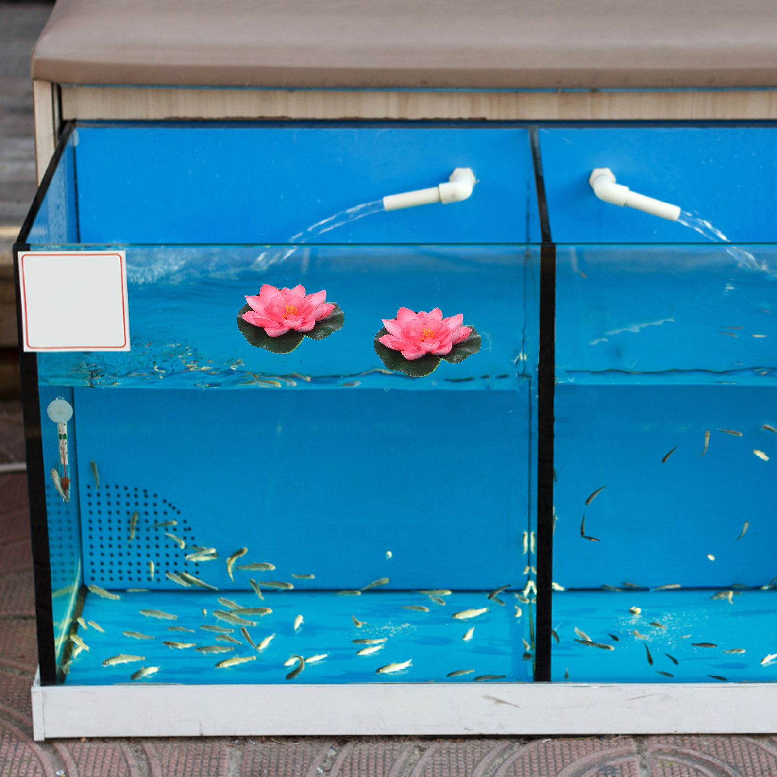 12Pcs Artificial Floating Wate - Aquarium Decor ulasan dan harga