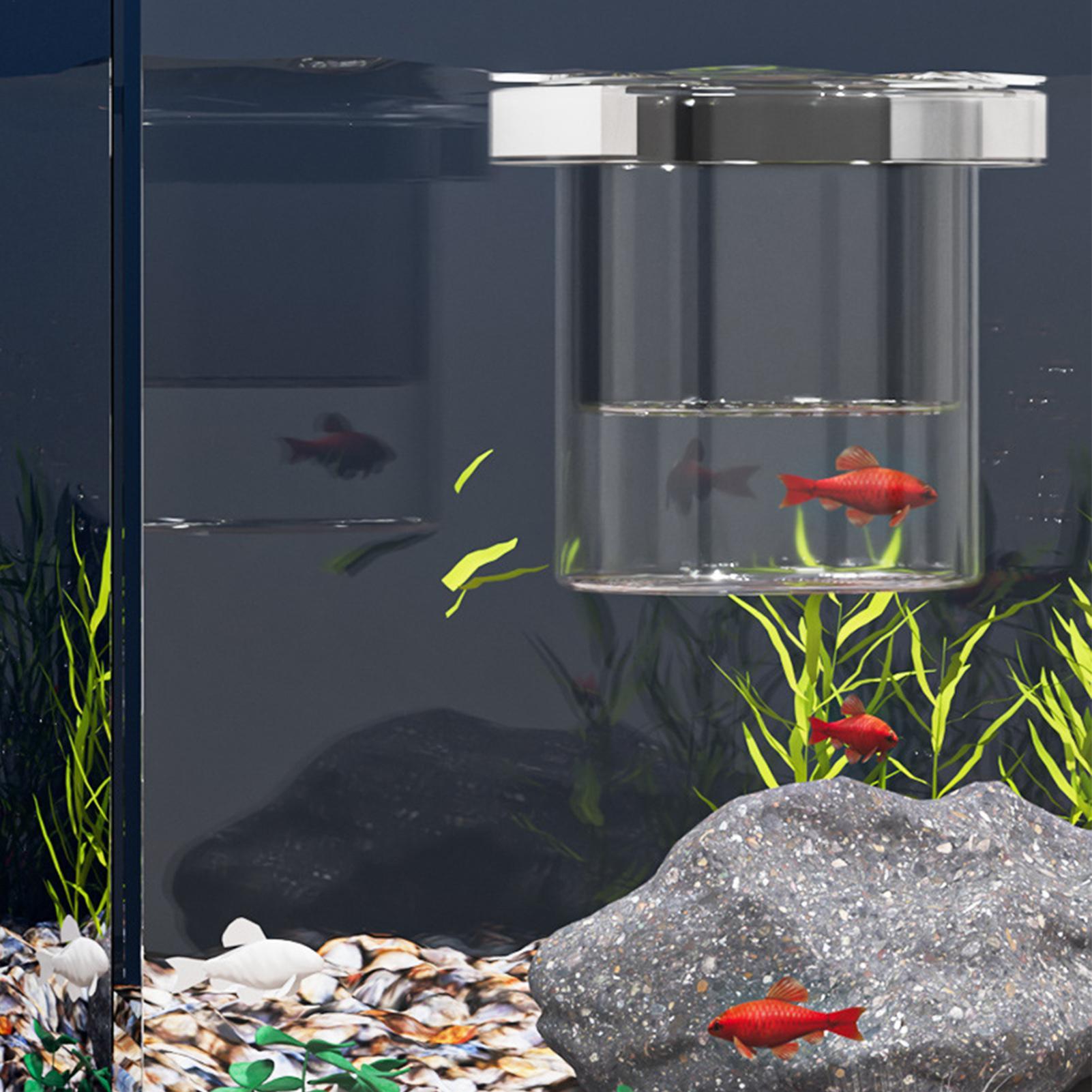 Fish Breeder Box Floating Aqua - Aquarium Fish Betta ulasan dan harga