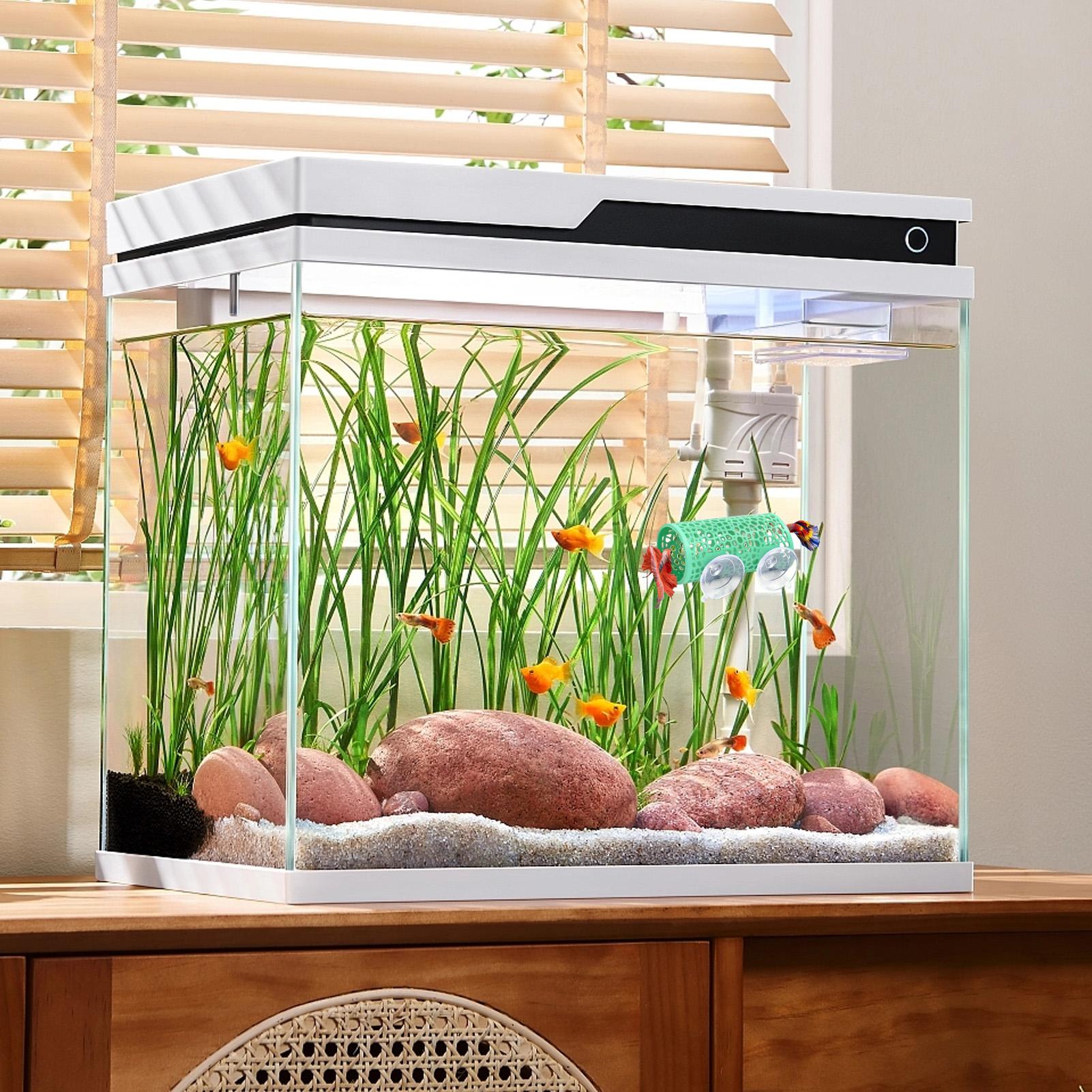 Betta Habitat Resting Shelter  - Aquarium Fish Betta ulasan dan harga