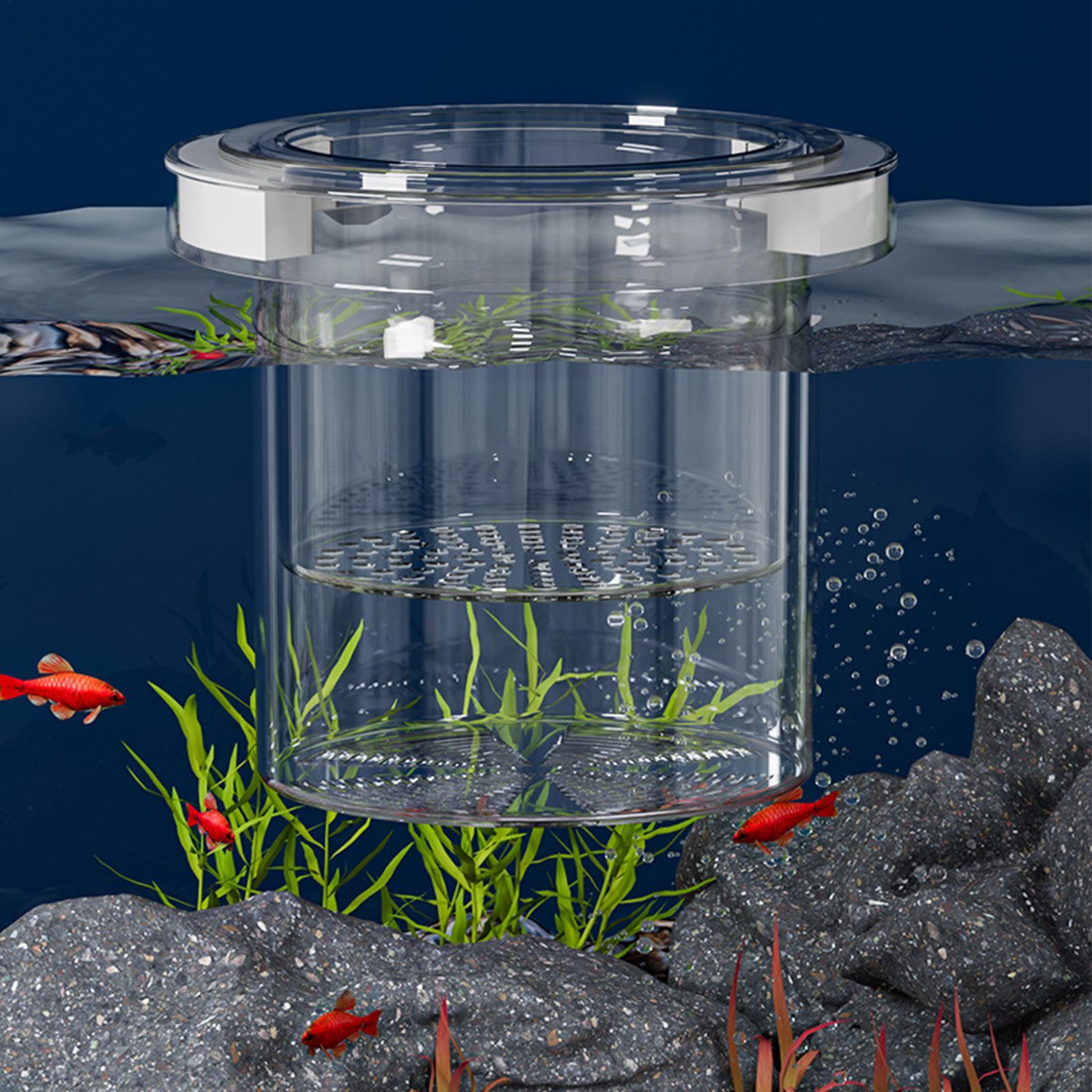 Floating Fish Breeding Isolati - Aquarium Fish Betta ulasan dan harga
