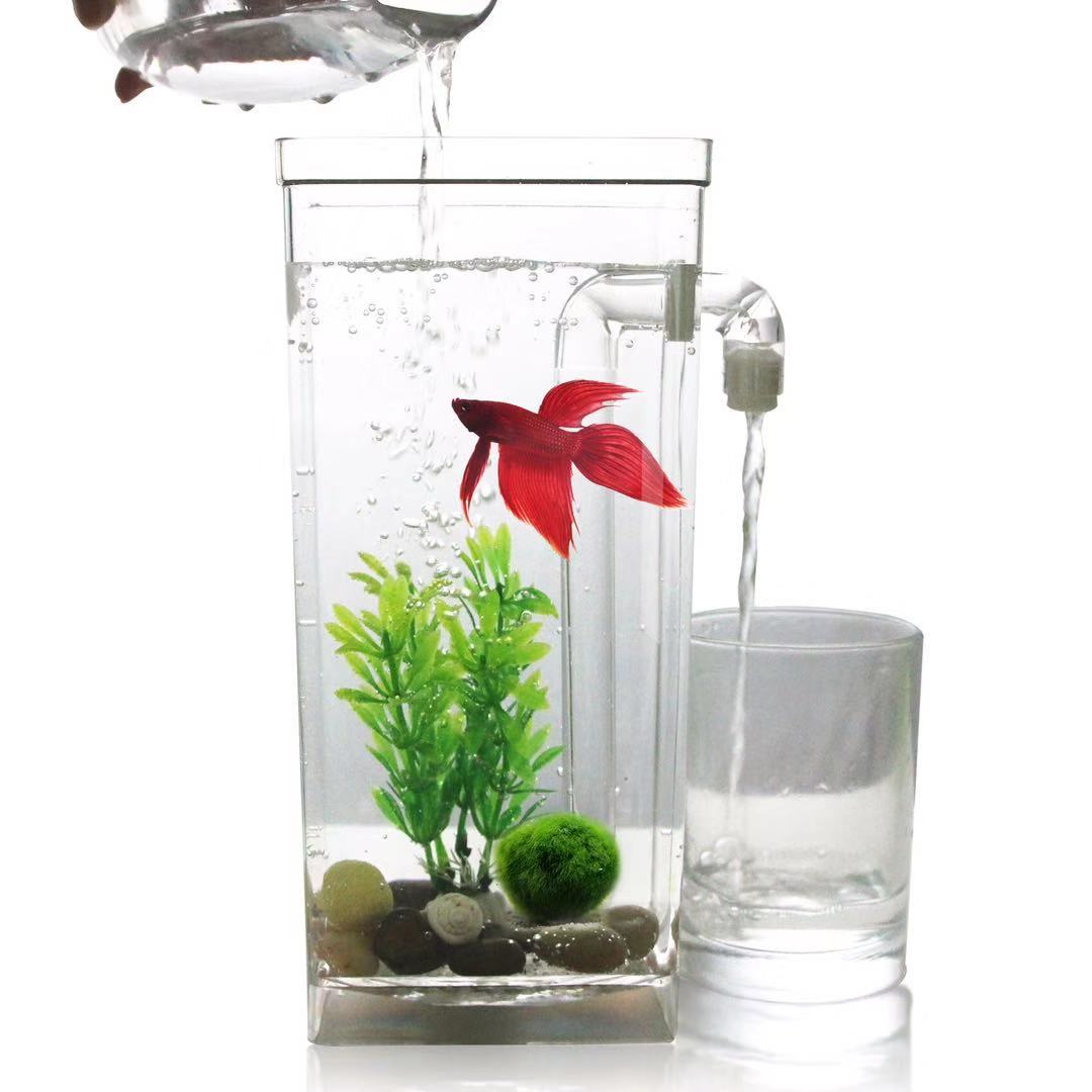 Lazy Free Water Change Desktop - Betta Fish Tank ulasan dan harga