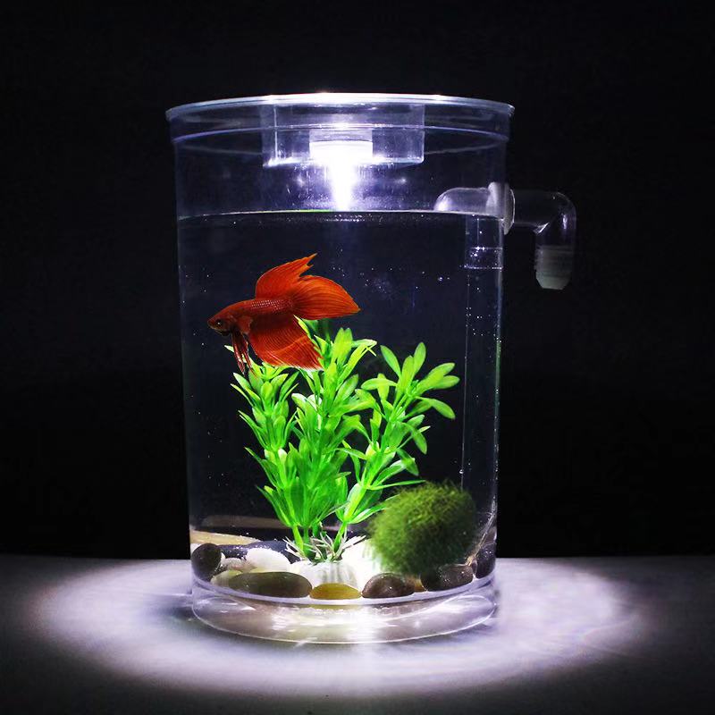 Lazy Free Water Change Desktop - Betta Fish Tank ulasan dan harga