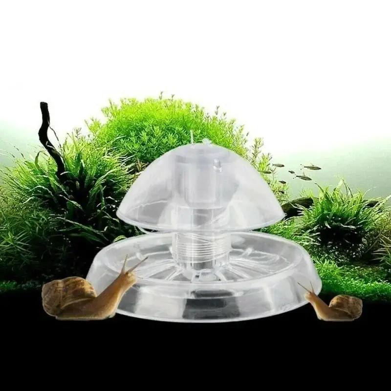 2026 New 6/8CM Clear Plastic S - Fish Aquarium Home ulasan dan harga