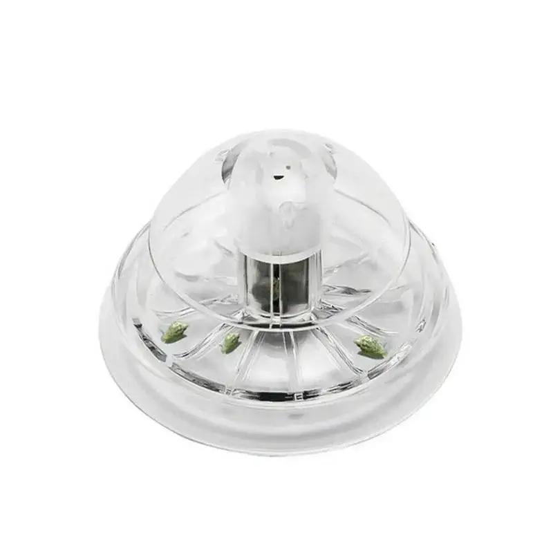 2026 New 6/8CM Clear Plastic S - Fish Aquarium Home ulasan dan harga