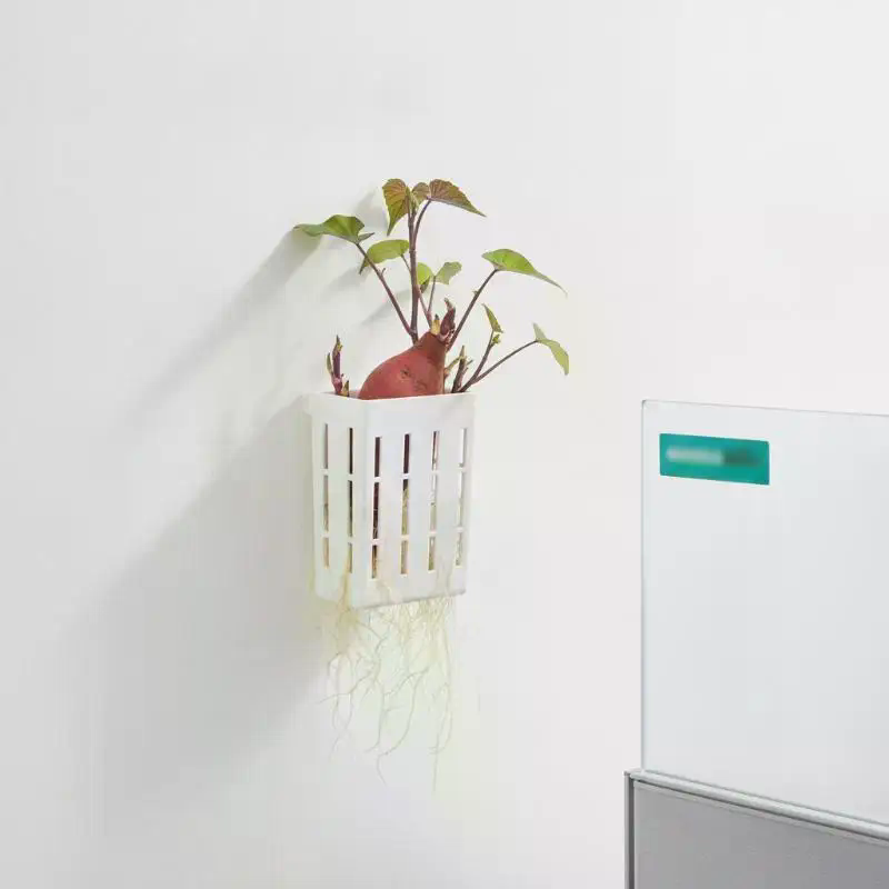 1Pcs Hydroponic Support Basket - Aquarium Plants ulasan dan harga
