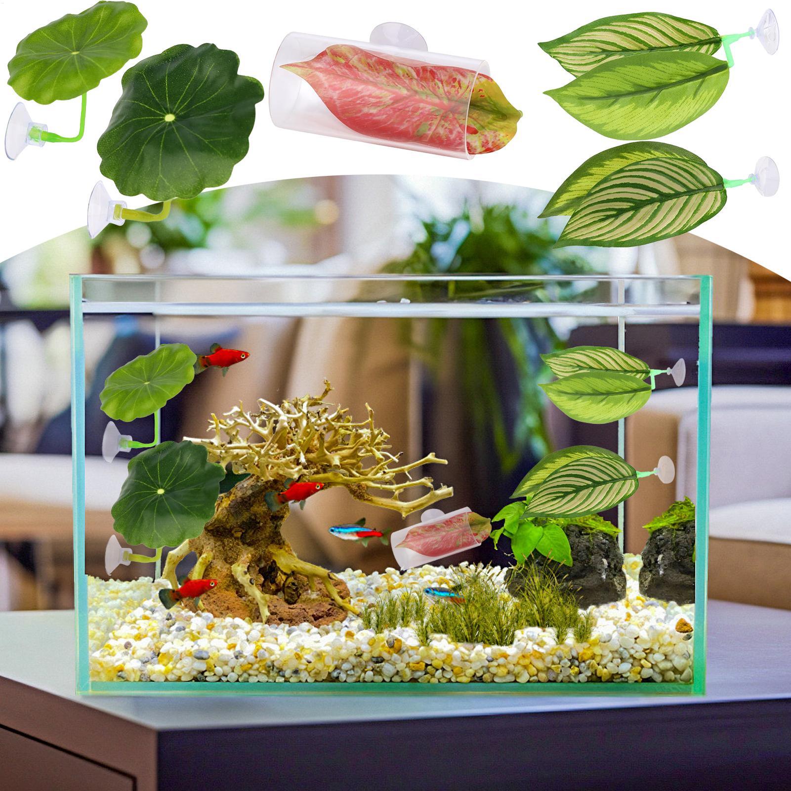 Betta Fish Hammock 5 Pieces Ad - Aquarium Fish Betta ulasan dan harga