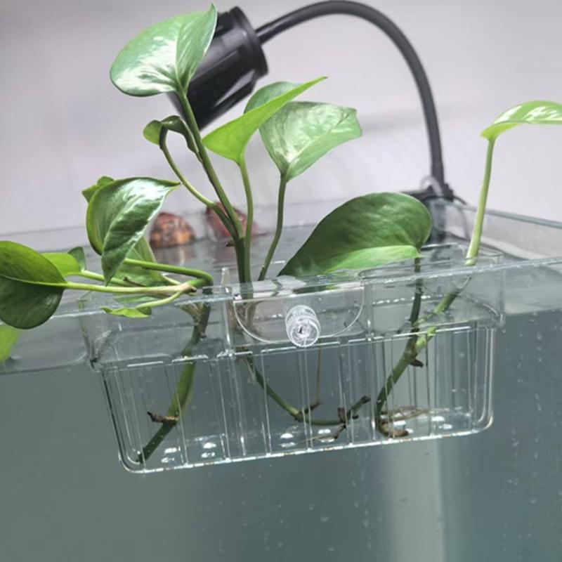 Hydroponic Plant Basket Food G - Aquarium Fish Tank ulasan dan harga