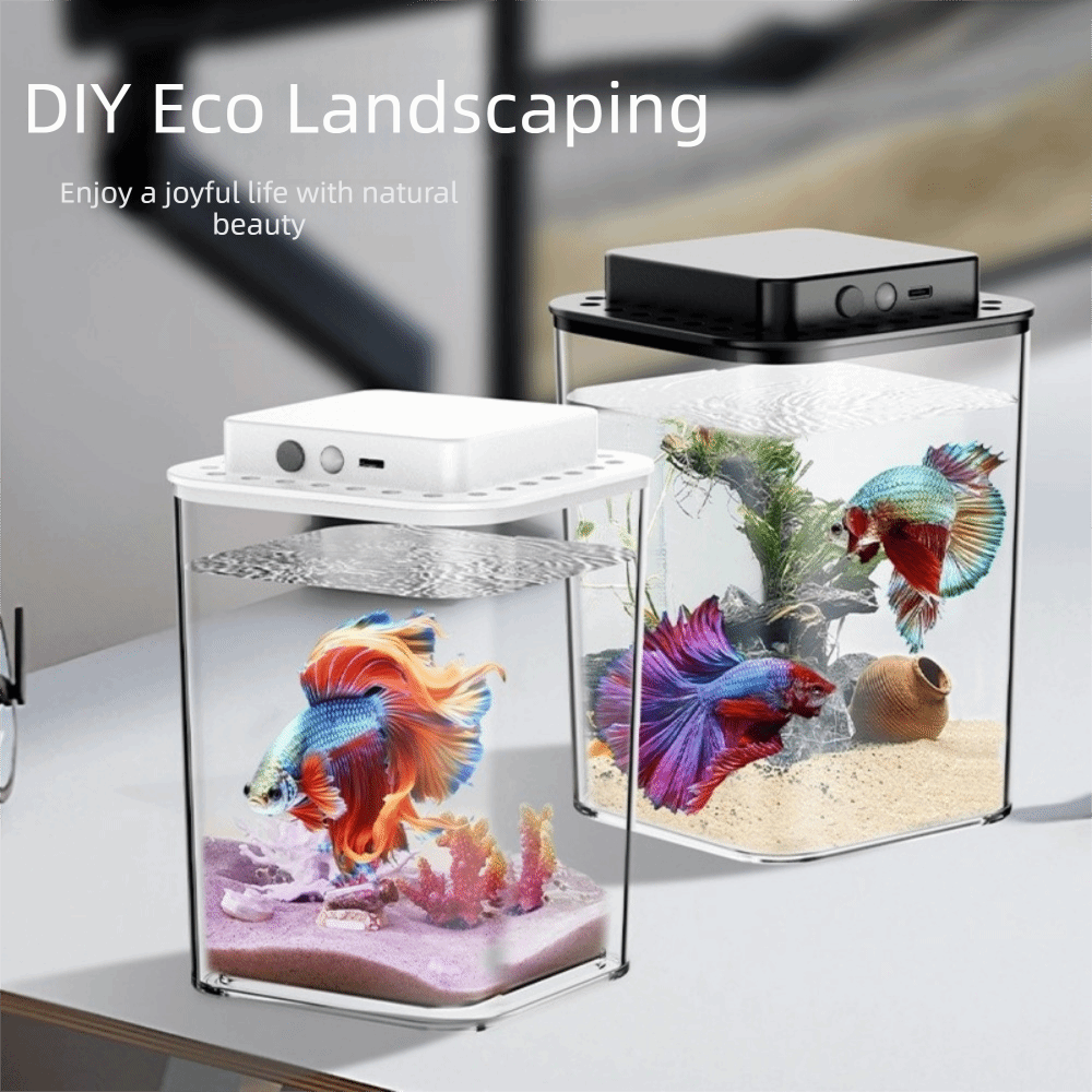 Transparent Betta Fish Tank In - Aquarium Fish Betta ulasan dan harga