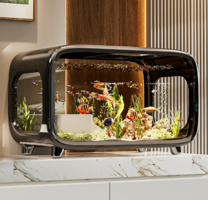 Creative Transparent Ecologica - Fish Aquarium Home ulasan dan harga