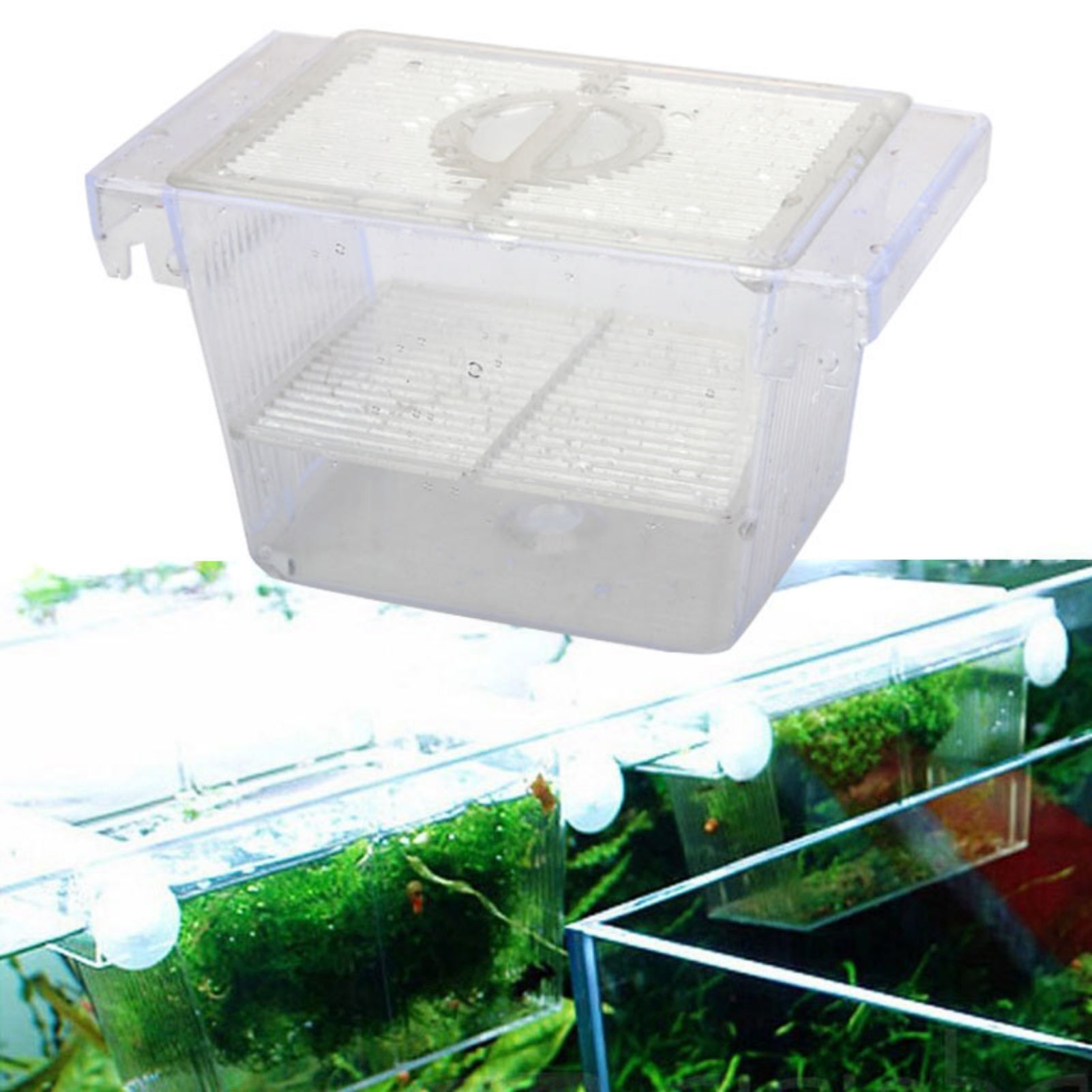 Fish Tank Breeding Box Transpa - Betta Fish Tank ulasan dan harga